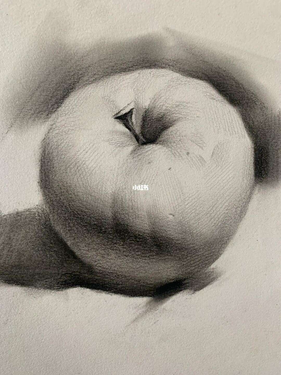 素描考题苹果版下载素描技巧在绘画中重要-第2张图片-太平洋在线下载