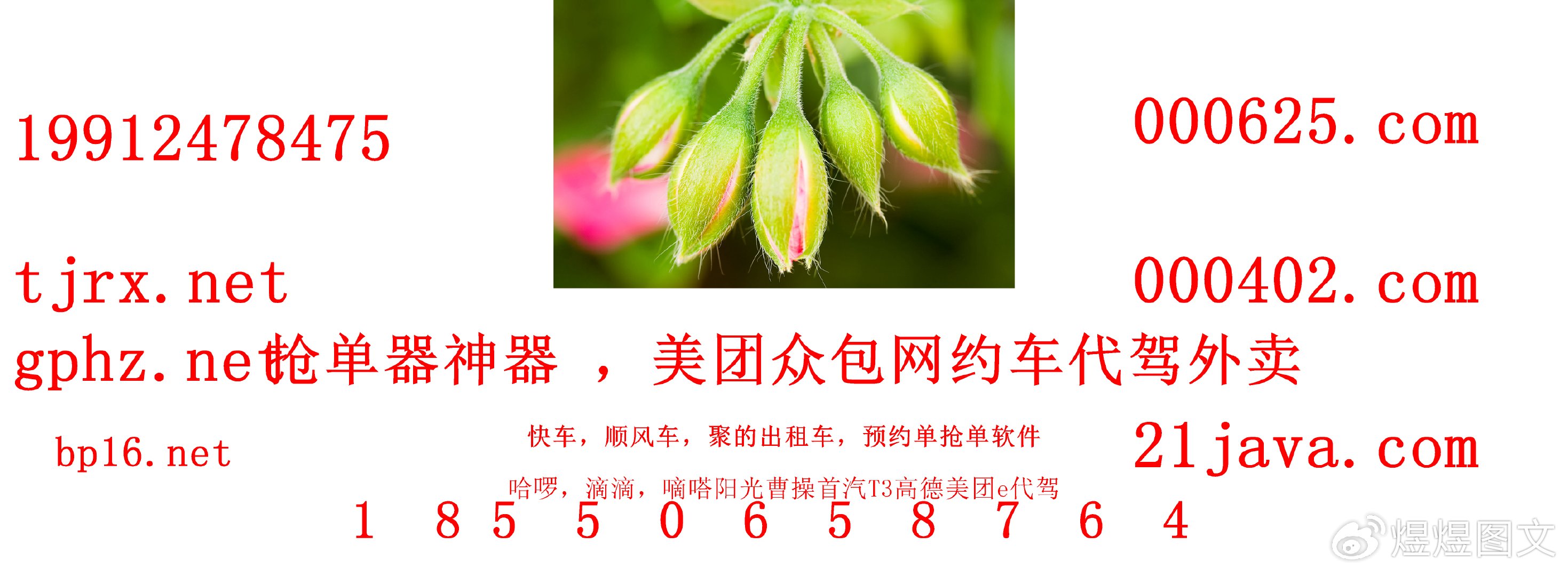 哈罗抢单苹果版安卓和苹果哪个抢单快